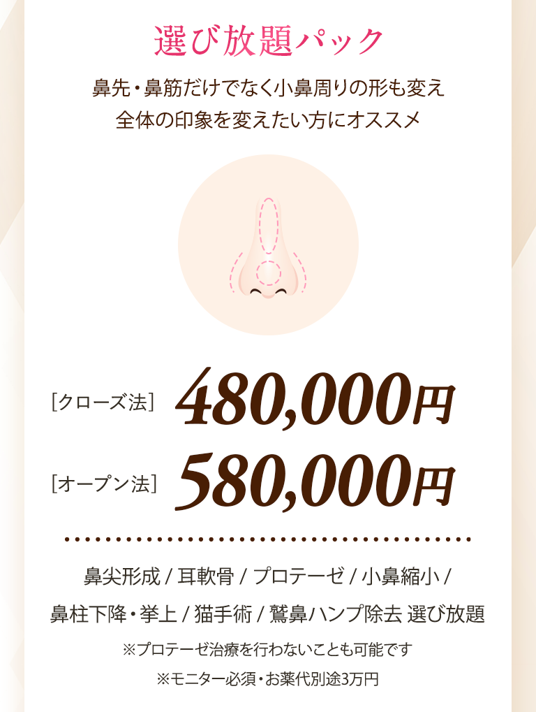 【選び放題パック】鼻先・鼻筋だけでなく小鼻周りの形も変え全体の印象を変えたい方にオススメ｜[クローズ法]480,000円〜/[オープン法]580,000円〜｜鼻尖形成 / 耳軟骨 / プロテーゼ / 小鼻縮小 / 鼻柱下降・挙上 / 猫手術 / 鷲鼻ハンプ除去 選び放題｜※プロテーゼ治療を行わないことも可能です※モニター必須・お薬代別途3万円
