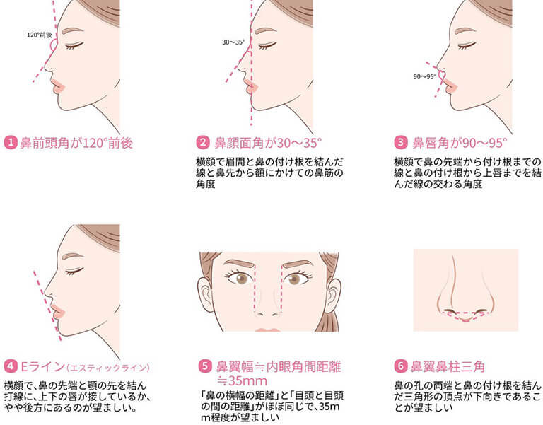美しい鼻の特徴
